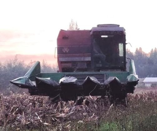 
								Cosechadora de Cereales Massey Fergusson completo									